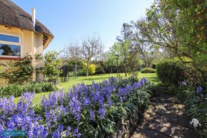 Garden- click for photo gallery